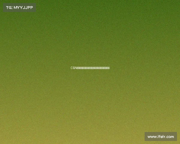 CBA历史第一球队诞生背后的传奇历程与辉煌成就解析