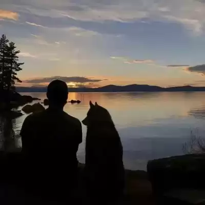 温冰海